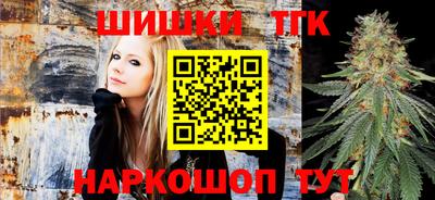 сатива Новозыбков