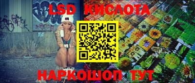 сатива Новозыбков
