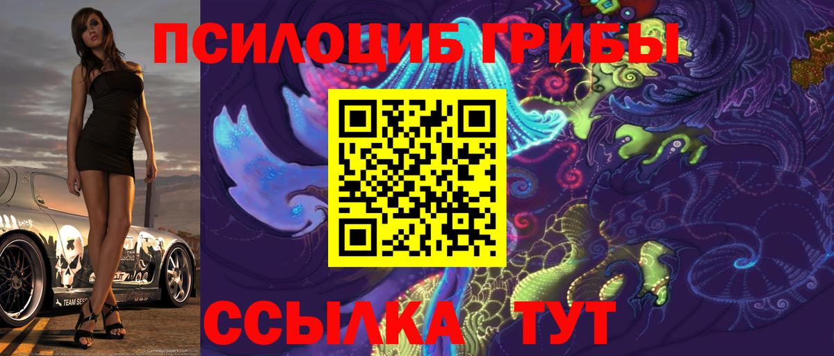 Черкесск  Галлюциногенные грибы GOLDEN TEACHER  где купить наркоту  Вход с VPN 