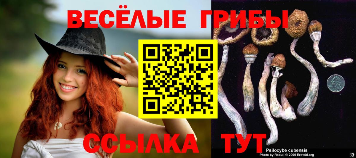 Галлюциногенные грибы MAGIC MUSHROOMS Черкесск